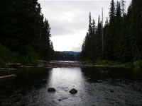 2006-07-31 10-21-05_0233.jpg (73kb)